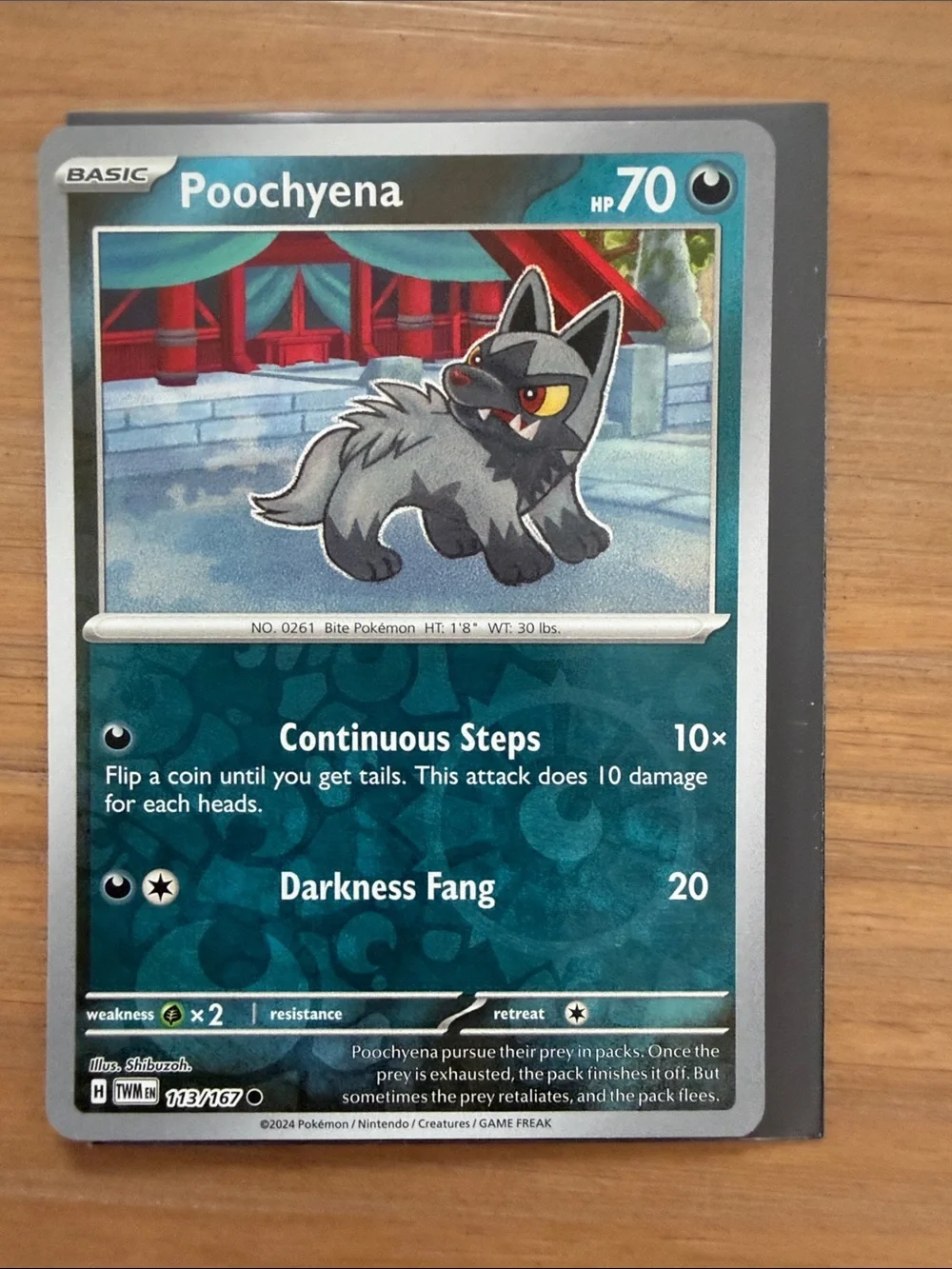 Poochyena & Mightyena Evolution Lot | 3 Reverse Holo Pokémon Cards ✨5/$25✨